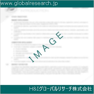 グローバルリサーチ調査資料のイメージ